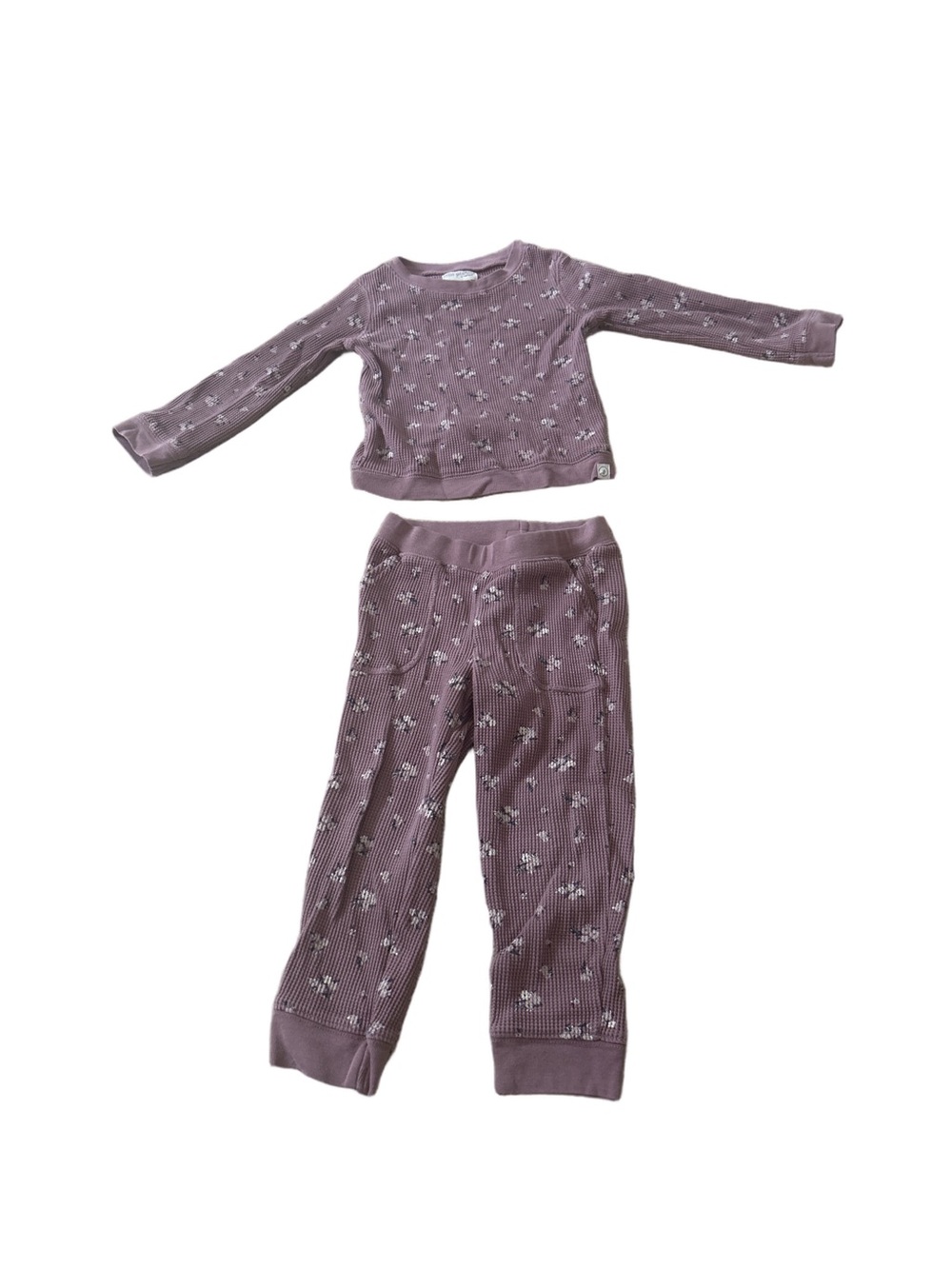 Purple Floral Little Planet by Carter's 2 Piece Outfit Size 3T